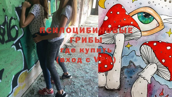 гашик Беломорск
