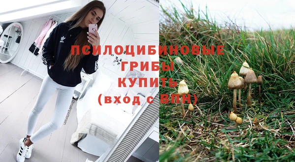 МДМА Белокуриха