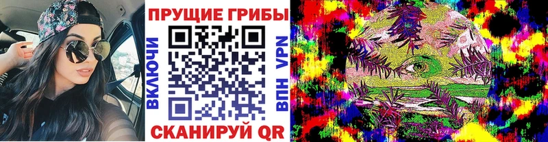 Галлюциногенные грибы Cubensis  как найти наркотики  Михайлов 